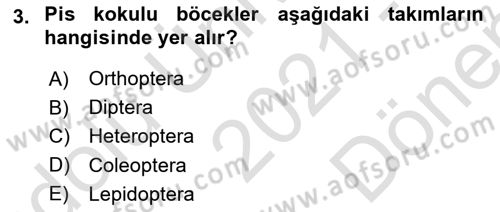 Entomoloji Dersi 2021 - 2022 Yılı (Final) Dönem Sonu Sınav Soruları 3. Soru