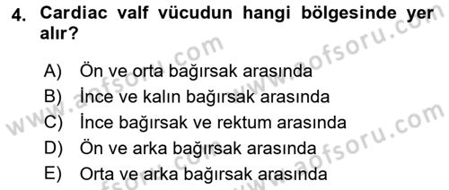 Entomoloji Dersi 2021 - 2022 Yılı (Final) Dönem Sonu Sınav Soruları 4. Soru