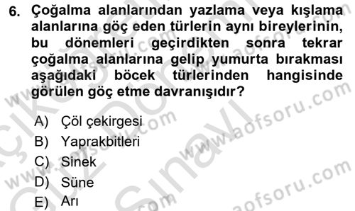 Entomoloji Dersi 2021 - 2022 Yılı (Final) Dönem Sonu Sınav Soruları 6. Soru