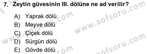 Entomoloji Dersi 2021 - 2022 Yılı (Final) Dönem Sonu Sınav Soruları 7. Soru