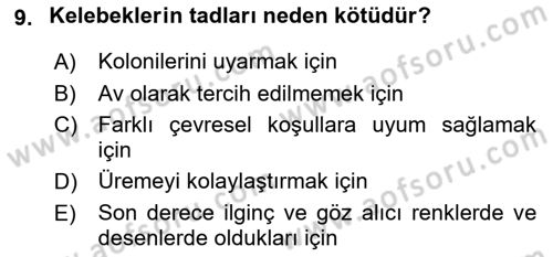 Entomoloji Dersi 2021 - 2022 Yılı (Final) Dönem Sonu Sınav Soruları 9. Soru