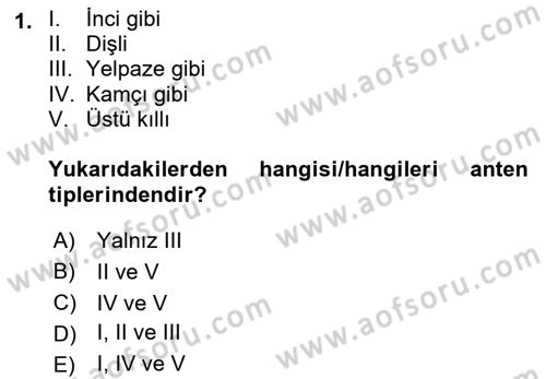 Entomoloji Dersi 2021 - 2022 Yılı Yaz Okulu Sınav Soruları 1. Soru