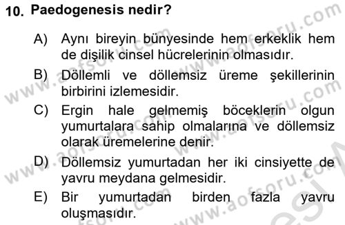 Entomoloji Dersi 2021 - 2022 Yılı Yaz Okulu Sınav Soruları 10. Soru