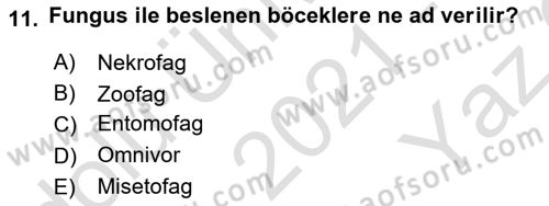 Entomoloji Dersi 2021 - 2022 Yılı Yaz Okulu Sınav Soruları 11. Soru
