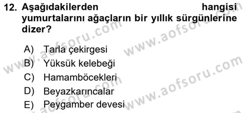 Entomoloji Dersi 2021 - 2022 Yılı Yaz Okulu Sınav Soruları 12. Soru