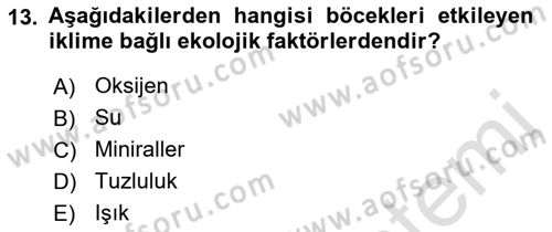 Entomoloji Dersi 2021 - 2022 Yılı Yaz Okulu Sınav Soruları 13. Soru