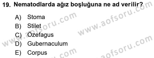 Entomoloji Dersi 2021 - 2022 Yılı Yaz Okulu Sınav Soruları 19. Soru