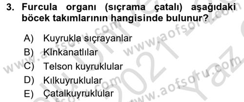 Entomoloji Dersi 2021 - 2022 Yılı Yaz Okulu Sınav Soruları 3. Soru