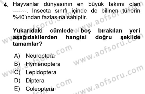 Entomoloji Dersi 2021 - 2022 Yılı Yaz Okulu Sınav Soruları 4. Soru