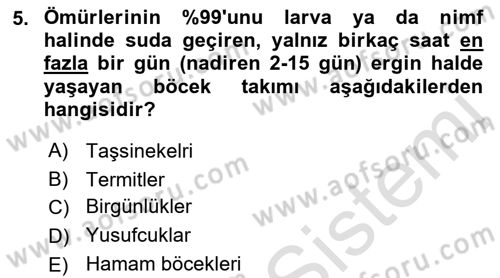 Entomoloji Dersi 2021 - 2022 Yılı Yaz Okulu Sınav Soruları 5. Soru