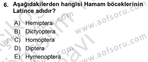 Entomoloji Dersi 2021 - 2022 Yılı Yaz Okulu Sınav Soruları 6. Soru