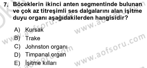 Entomoloji Dersi 2021 - 2022 Yılı Yaz Okulu Sınav Soruları 7. Soru