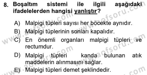 Entomoloji Dersi 2021 - 2022 Yılı Yaz Okulu Sınav Soruları 8. Soru