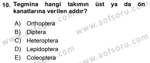 Entomoloji Dersi Ara Sınavı Deneme Sınav Soruları 10. Soru
