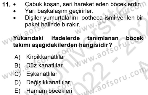 Entomoloji Dersi 2022 - 2023 Yılı (Vize) Ara Sınav Soruları 11. Soru