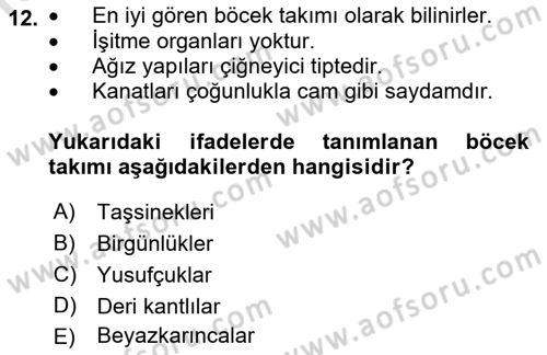 Entomoloji Dersi Ara Sınavı Deneme Sınav Soruları 12. Soru