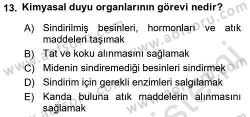 Entomoloji Dersi Ara Sınavı Deneme Sınav Soruları 13. Soru