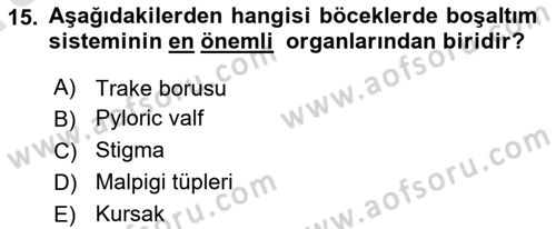Entomoloji Dersi 2022 - 2023 Yılı (Vize) Ara Sınav Soruları 15. Soru