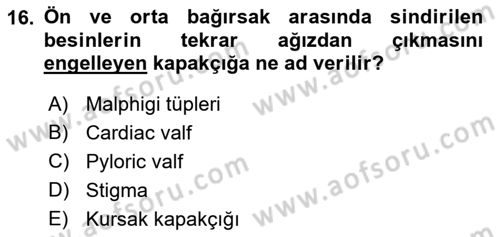 Entomoloji Dersi 2022 - 2023 Yılı (Vize) Ara Sınav Soruları 16. Soru