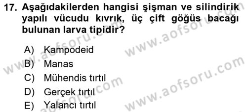 Entomoloji Dersi 2022 - 2023 Yılı (Vize) Ara Sınav Soruları 17. Soru