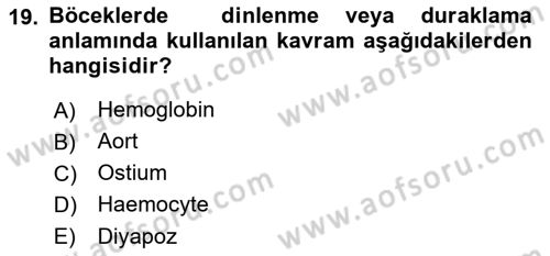 Entomoloji Dersi 2022 - 2023 Yılı (Vize) Ara Sınav Soruları 19. Soru