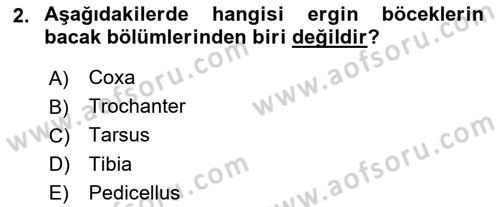 Entomoloji Dersi 2022 - 2023 Yılı (Vize) Ara Sınav Soruları 2. Soru