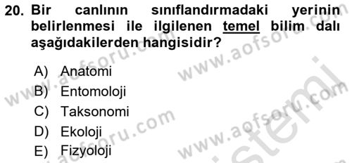 Entomoloji Dersi 2022 - 2023 Yılı (Vize) Ara Sınav Soruları 20. Soru