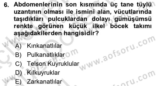 Entomoloji Dersi 2022 - 2023 Yılı (Vize) Ara Sınav Soruları 6. Soru