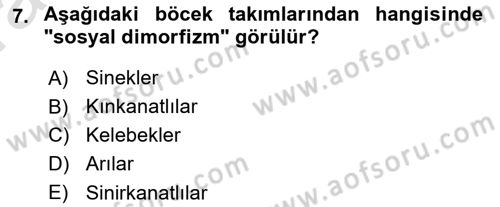 Entomoloji Dersi 2022 - 2023 Yılı (Vize) Ara Sınav Soruları 7. Soru