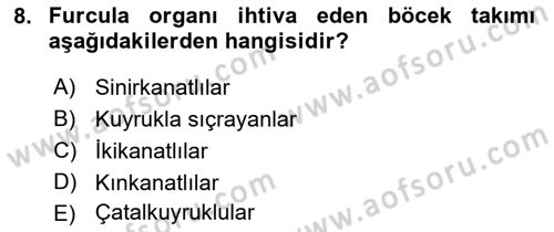 Entomoloji Dersi Ara Sınavı Deneme Sınav Soruları 8. Soru