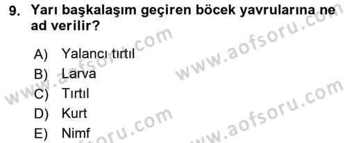 Entomoloji Dersi 2022 - 2023 Yılı (Vize) Ara Sınav Soruları 9. Soru