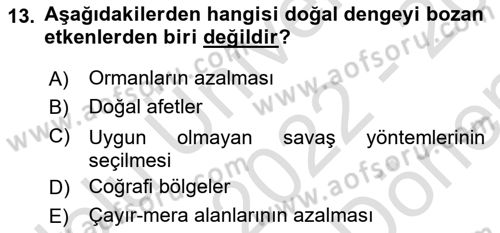 Entomoloji Dersi 2022 - 2023 Yılı (Final) Dönem Sonu Sınav Soruları 13. Soru