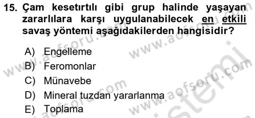 Entomoloji Dersi 2022 - 2023 Yılı (Final) Dönem Sonu Sınav Soruları 15. Soru