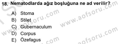 Entomoloji Dersi 2022 - 2023 Yılı (Final) Dönem Sonu Sınav Soruları 18. Soru