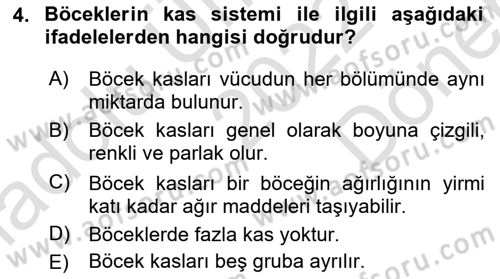 Entomoloji Dersi 2022 - 2023 Yılı (Final) Dönem Sonu Sınav Soruları 4. Soru