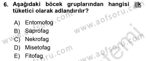 Entomoloji Dersi 2022 - 2023 Yılı (Final) Dönem Sonu Sınav Soruları 6. Soru