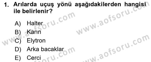 Entomoloji Dersi 2022 - 2023 Yılı Yaz Okulu Sınav Soruları 1. Soru