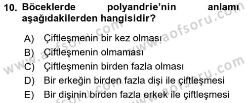 Entomoloji Dersi 2022 - 2023 Yılı Yaz Okulu Sınav Soruları 10. Soru