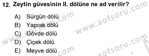 Entomoloji Dersi 2022 - 2023 Yılı Yaz Okulu Sınav Soruları 12. Soru