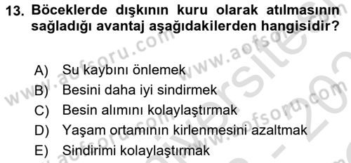 Entomoloji Dersi 2022 - 2023 Yılı Yaz Okulu Sınav Soruları 13. Soru