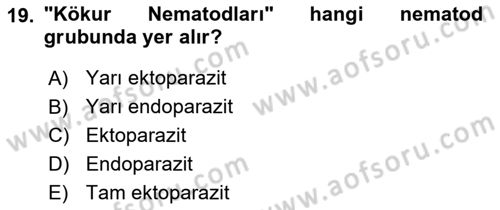 Entomoloji Dersi 2022 - 2023 Yılı Yaz Okulu Sınav Soruları 19. Soru