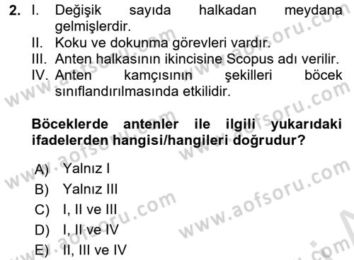 Entomoloji Dersi 2022 - 2023 Yılı Yaz Okulu Sınav Soruları 2. Soru