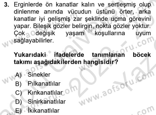 Entomoloji Dersi 2022 - 2023 Yılı Yaz Okulu Sınav Soruları 3. Soru