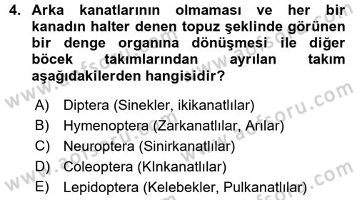 Entomoloji Dersi 2022 - 2023 Yılı Yaz Okulu Sınav Soruları 4. Soru