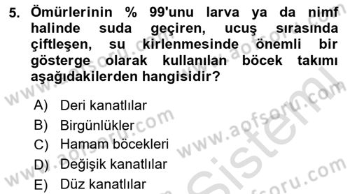 Entomoloji Dersi 2022 - 2023 Yılı Yaz Okulu Sınav Soruları 5. Soru