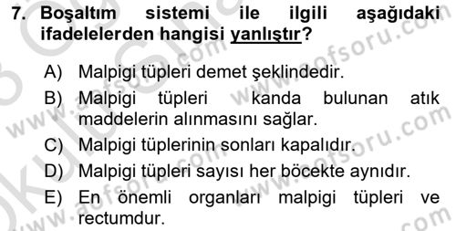 Entomoloji Dersi 2022 - 2023 Yılı Yaz Okulu Sınav Soruları 7. Soru
