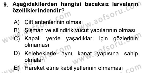 Entomoloji Dersi 2022 - 2023 Yılı Yaz Okulu Sınav Soruları 9. Soru