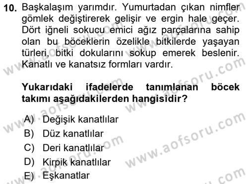 Entomoloji Dersi 2023 - 2024 Yılı (Vize) Ara Sınav Soruları 10. Soru