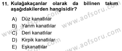 Entomoloji Dersi 2023 - 2024 Yılı (Vize) Ara Sınav Soruları 11. Soru