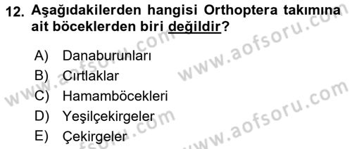 Entomoloji Dersi 2023 - 2024 Yılı (Vize) Ara Sınav Soruları 12. Soru